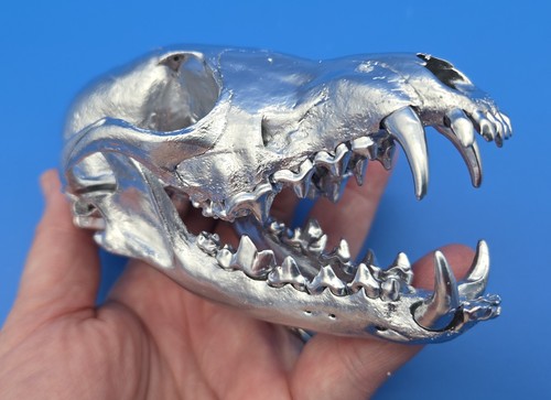 Real silver finish - , red